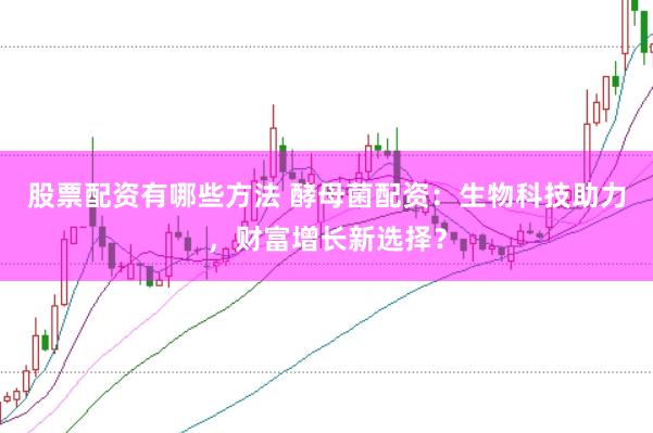 股票配资有哪些方法 酵母菌配资：生物科技助力，财富增长新选择？