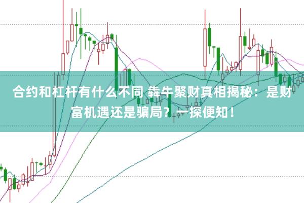 合约和杠杆有什么不同 犇牛聚财真相揭秘：是财富机遇还是骗局？一探便知！