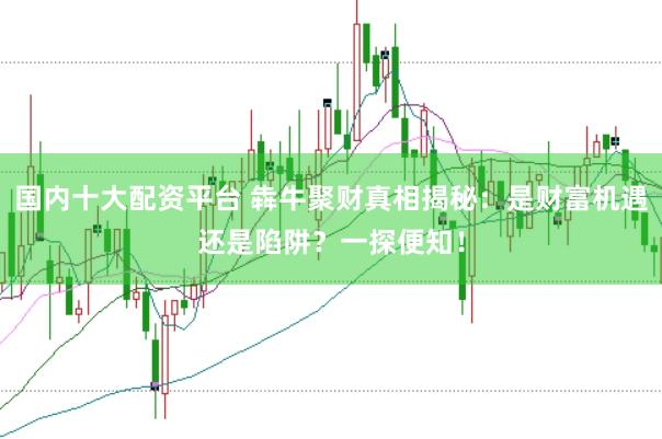 国内十大配资平台 犇牛聚财真相揭秘：是财富机遇还是陷阱？一探便知！