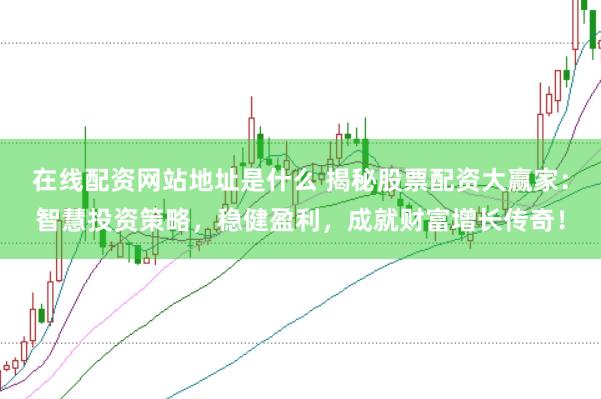 在线配资网站地址是什么 揭秘股票配资大赢家：智慧投资策略，稳健盈利，成就财富增长传奇！