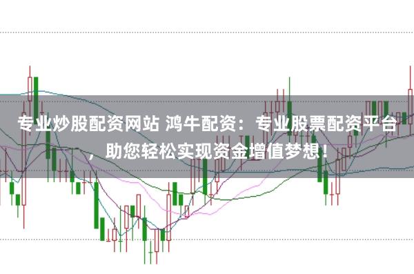 专业炒股配资网站 鸿牛配资：专业股票配资平台，助您轻松实现资金增值梦想！