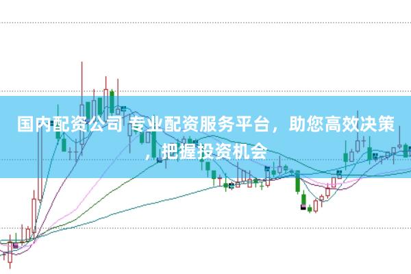 国内配资公司 专业配资服务平台，助您高效决策，把握投资机会