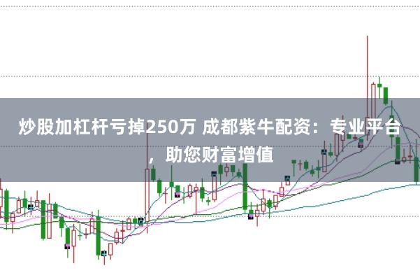 炒股加杠杆亏掉250万 成都紫牛配资：专业平台，助您财富增值