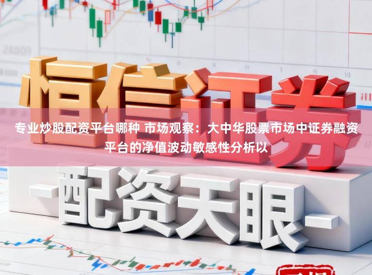 专业炒股配资平台哪种 市场观察：大中华股票市场中证券融资平台的净值波动敏感性分析以