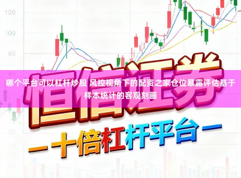哪个平台可以杠杆炒股 风控视角下的配资之家仓位暴露评估基于样本统计的客观刻画