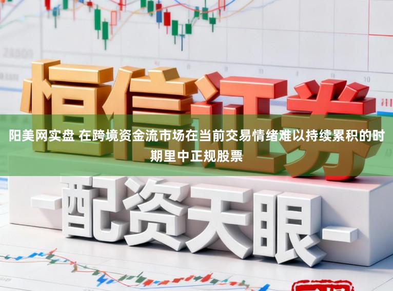 阳美网实盘 在跨境资金流市场在当前交易情绪难以持续累积的时期里中正规股票